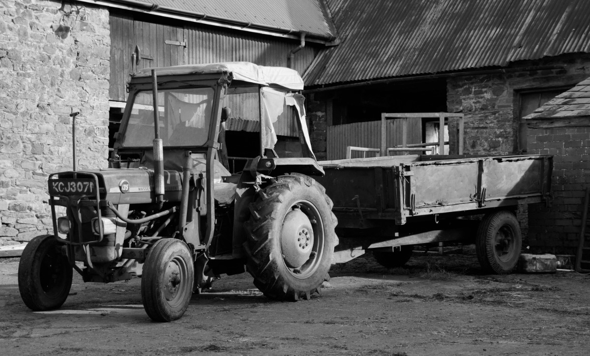 A Massey Ferguson tractor in a Welsh farm yard.