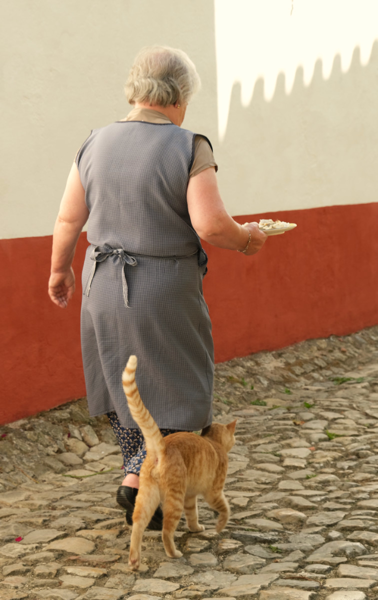 An elderly woman carrying a plate of fish for a hungry ginger street cat