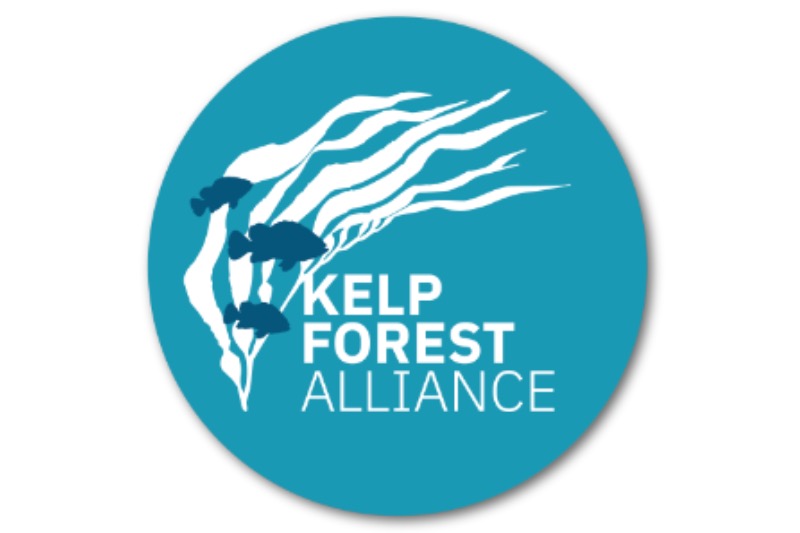 the logo of the kelp forest alliance